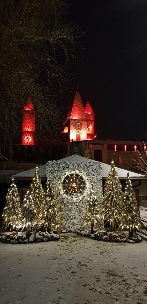 Фотография автора Ольга Мусина