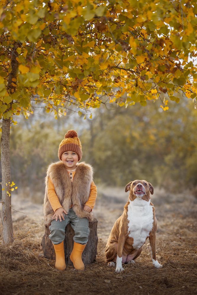The Boy and his best friend