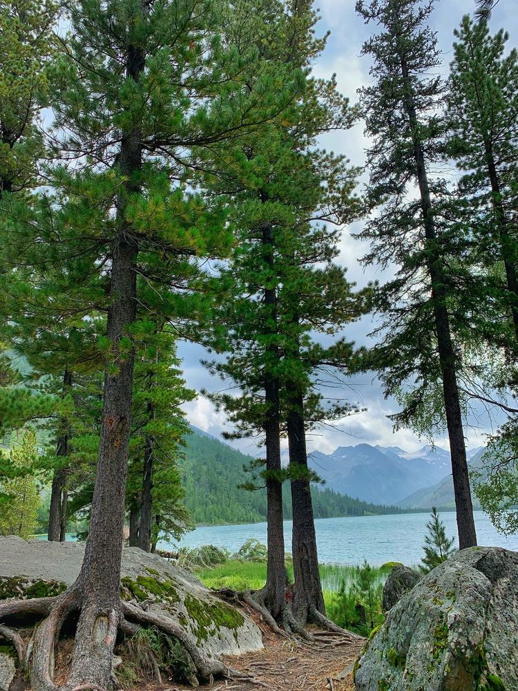 Photograph by Анастасия Глушкова