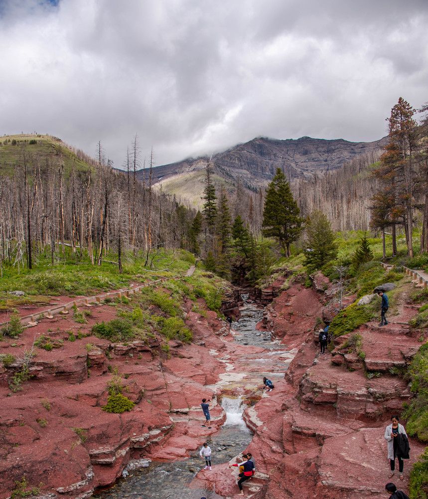 Photograph by JOY SAHA