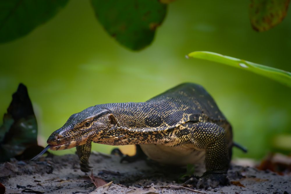 Photograph by Николай Фонарёв