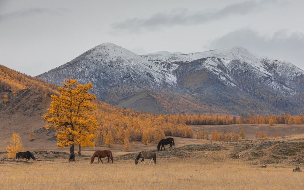 Photograph by Илья Поляк