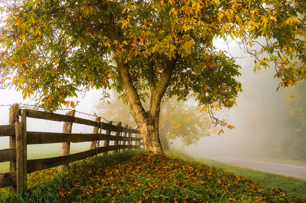 Photograph by Levente Zsolt Gal