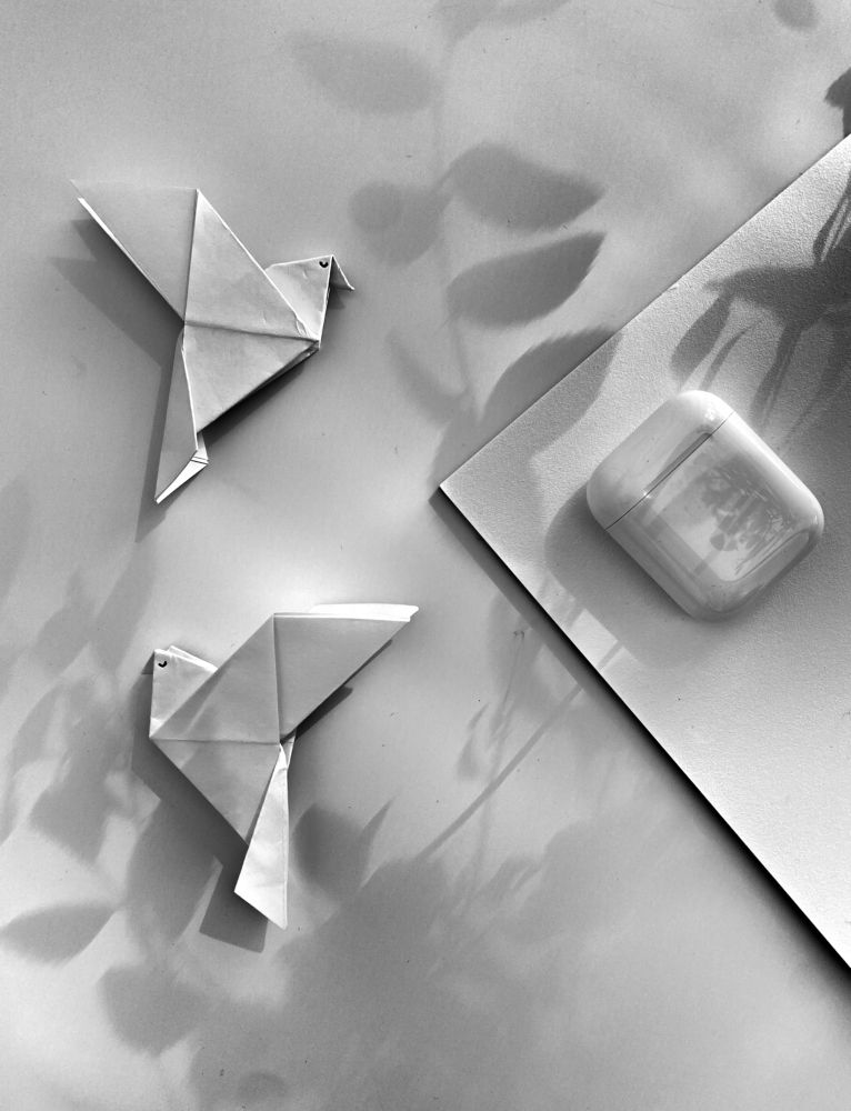 Photograph by Екатерина Бердутина