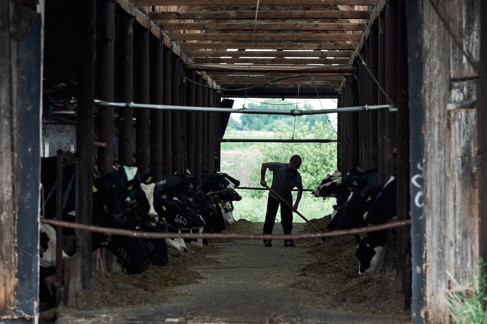 Photograph by Юлия Яровая