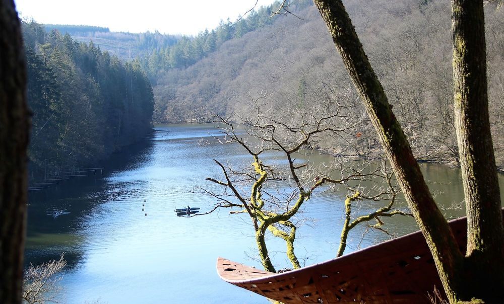 Фотография автора caroline martin (dony)