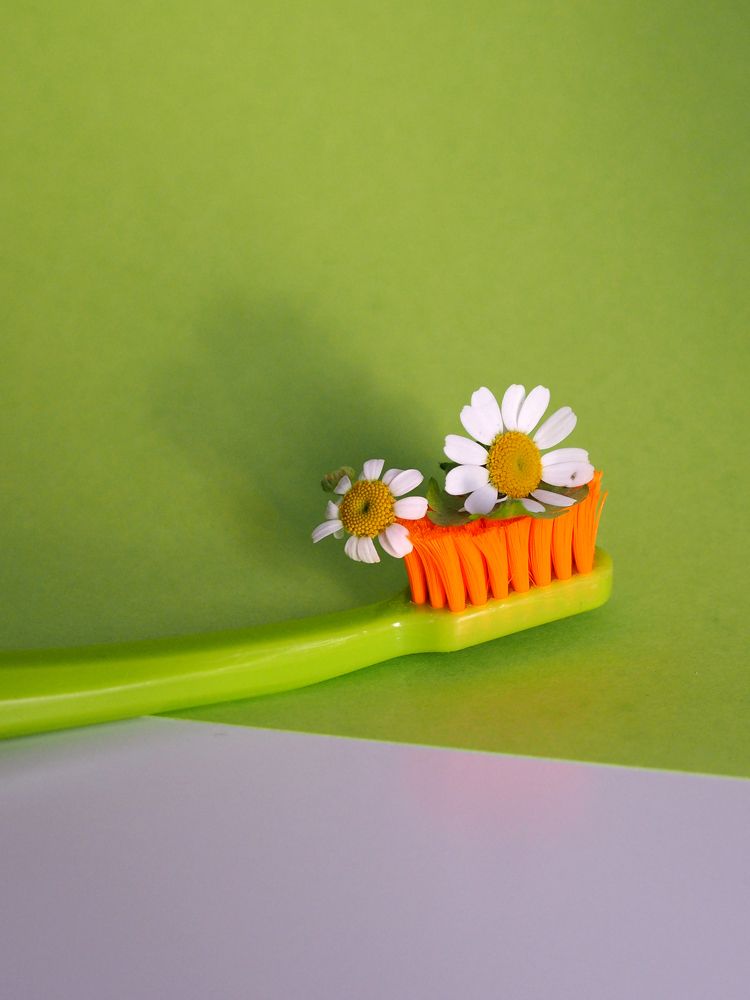 Photograph by Екатерина Бердутина