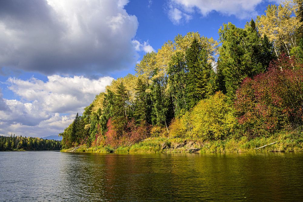 Photograph by Юрий Амосов