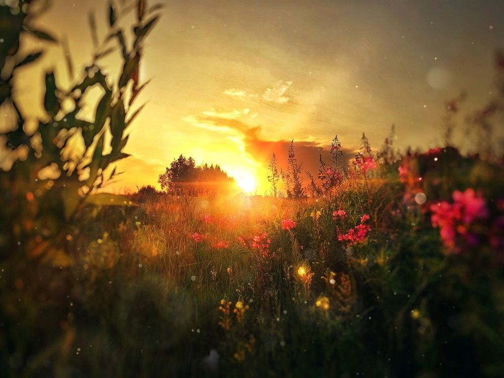 Photograph by Вера Бабайлова