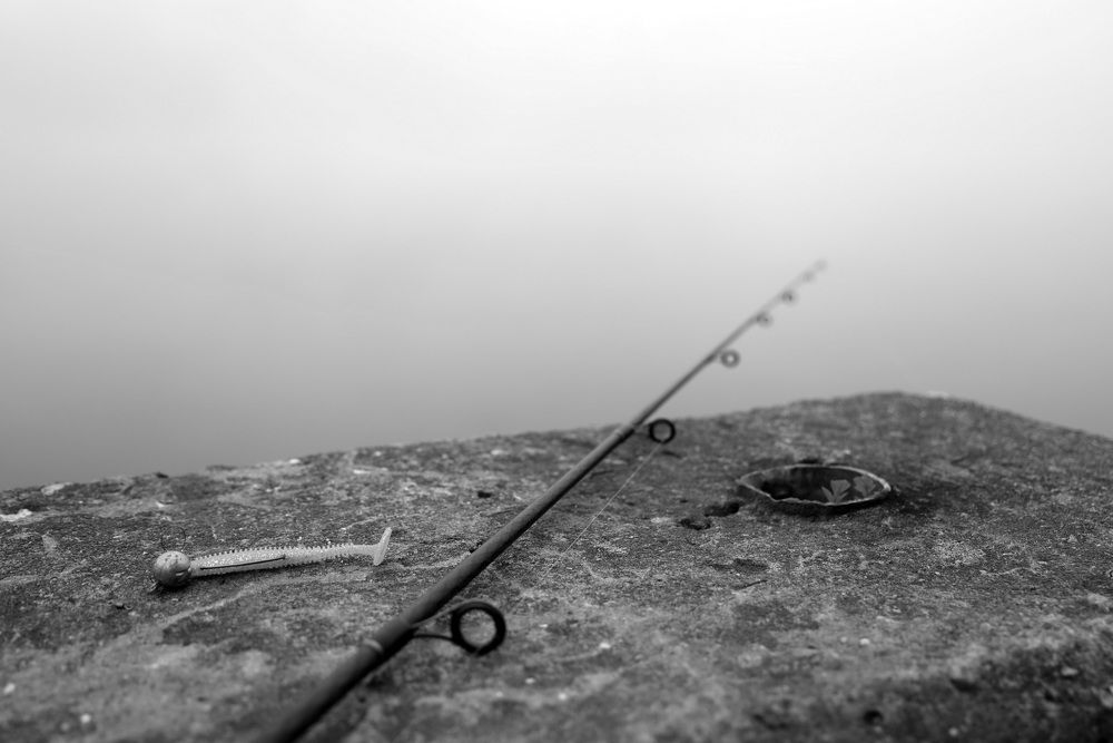 Фотография автора Елена Колосова