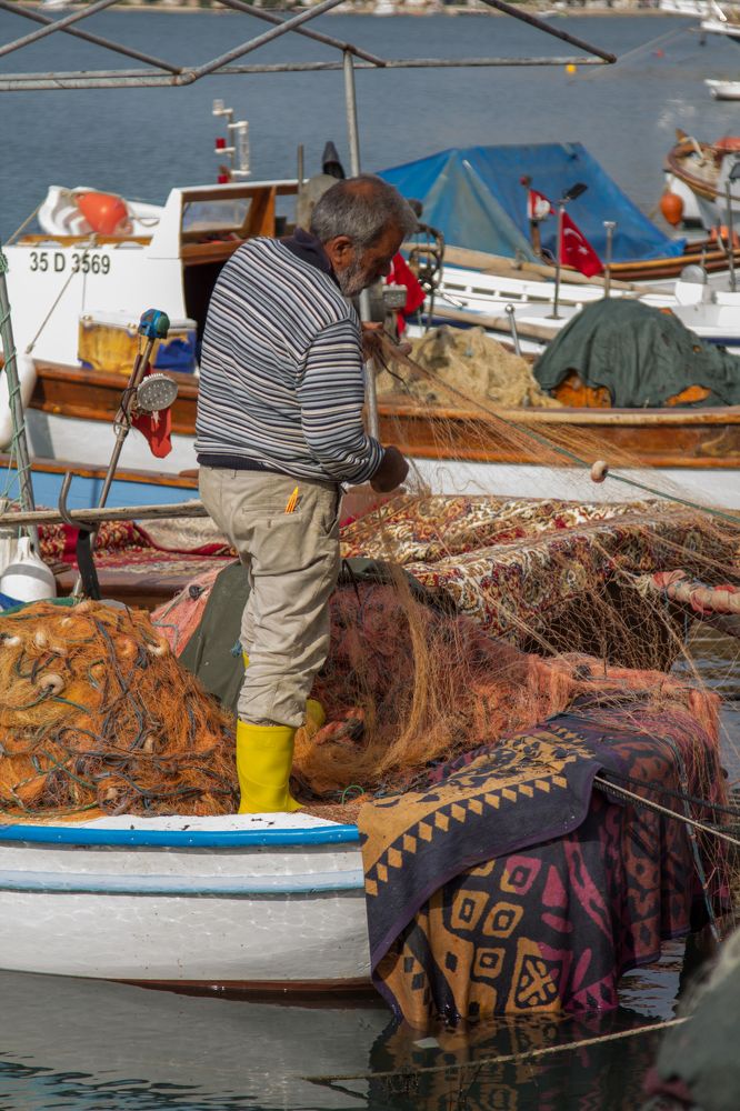 Photograph by Olga Min