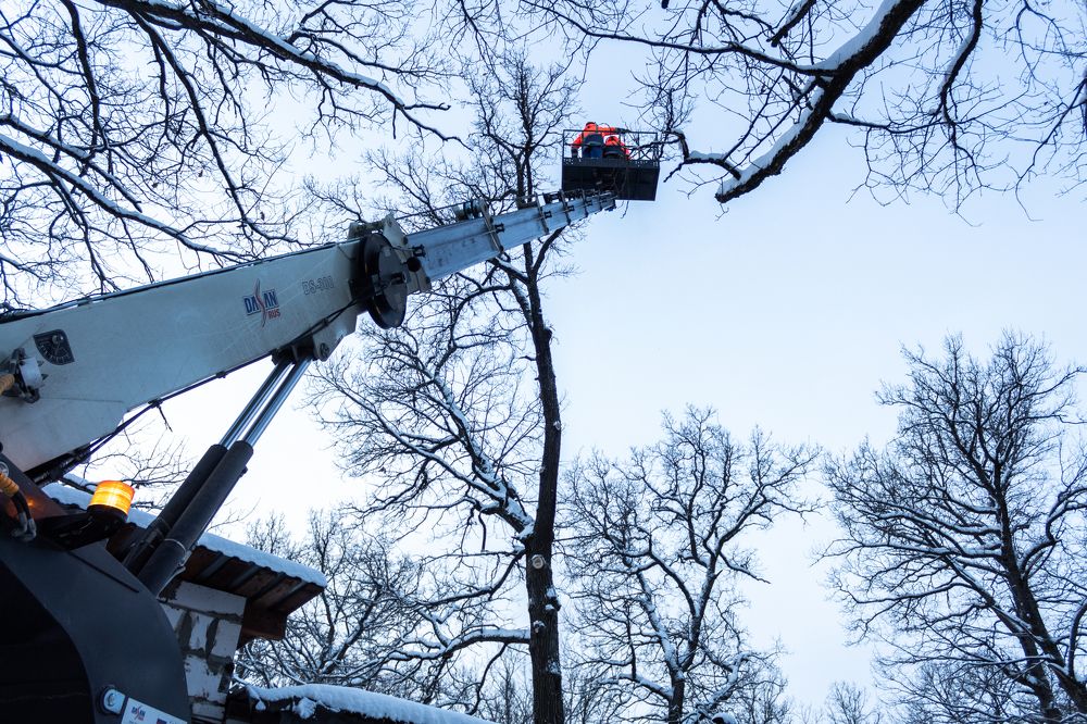 Photograph by Ольга Абрамова