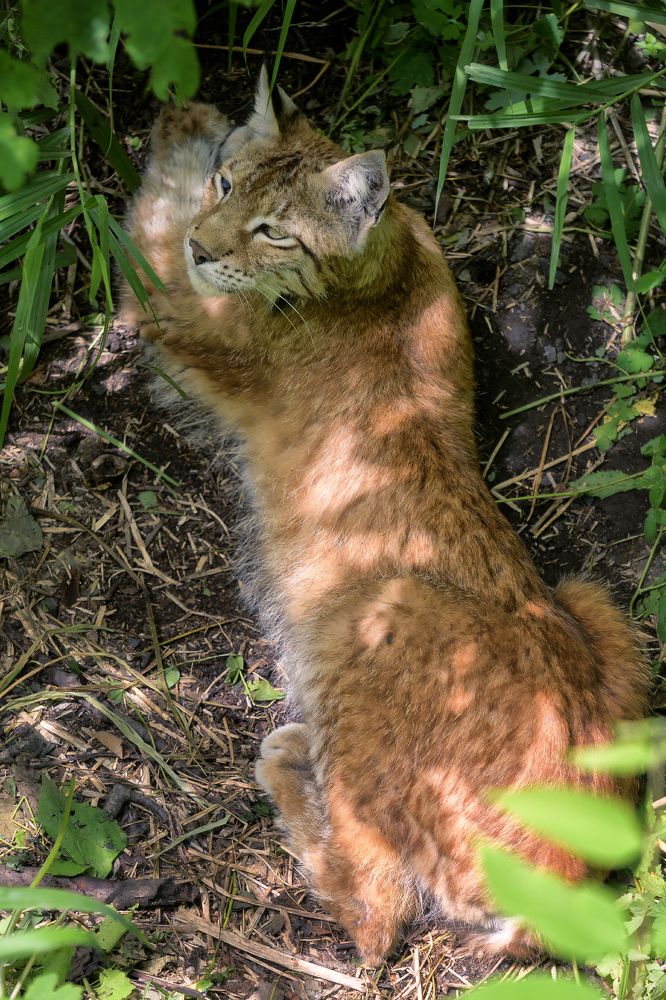 Photograph by Евгений Кучеренко