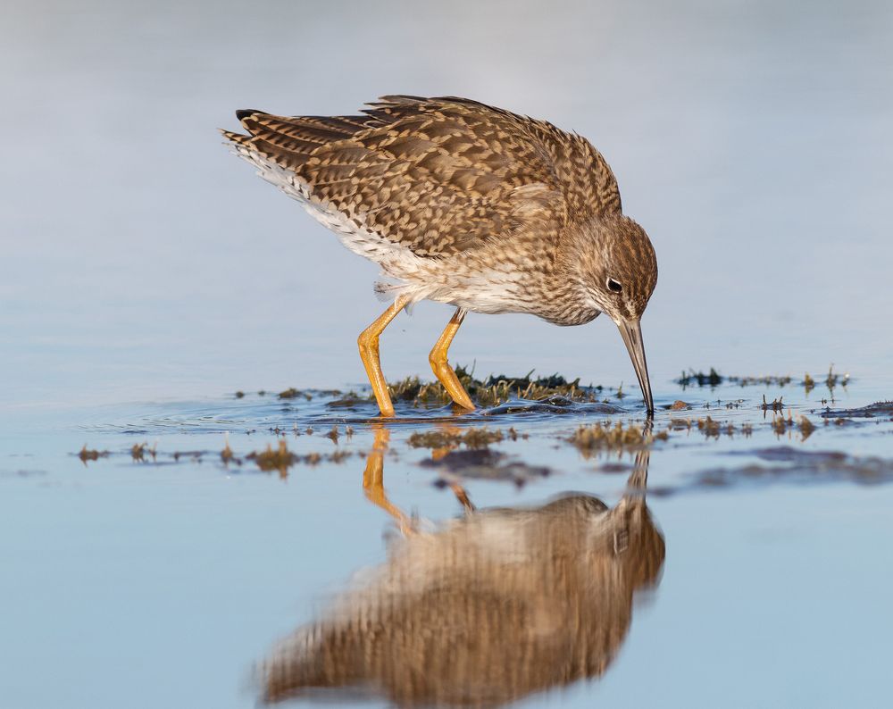 Photograph by Павел Краснослободцев