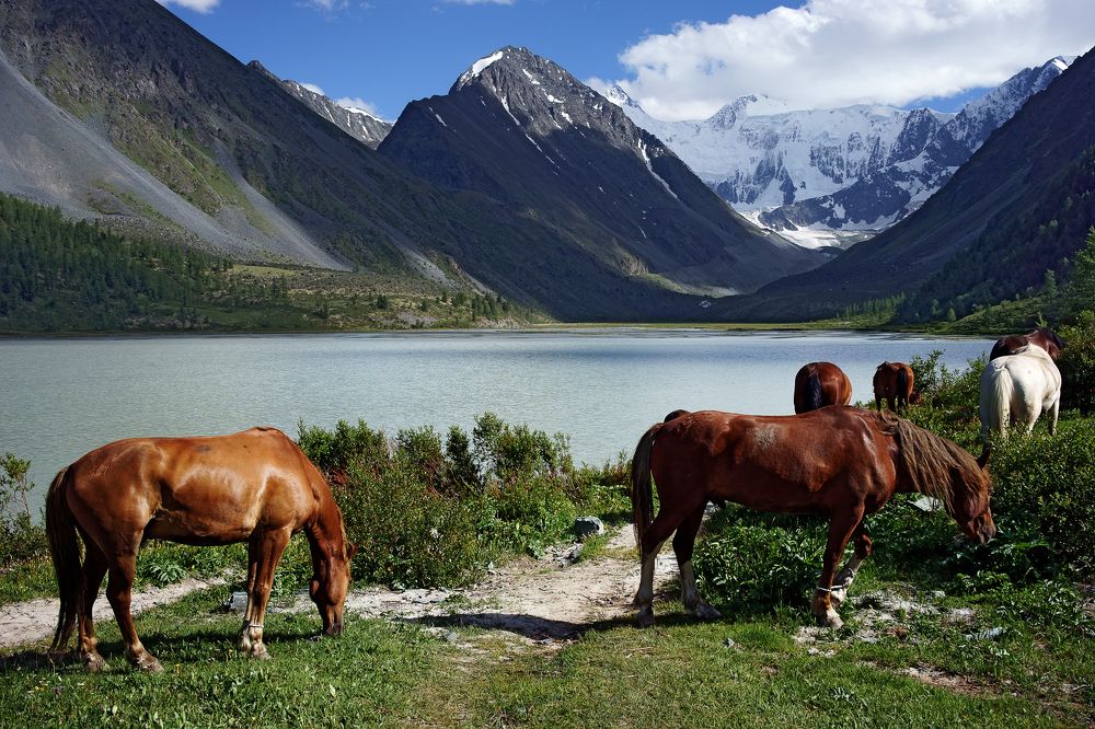 Photograph by Сергей Сережников