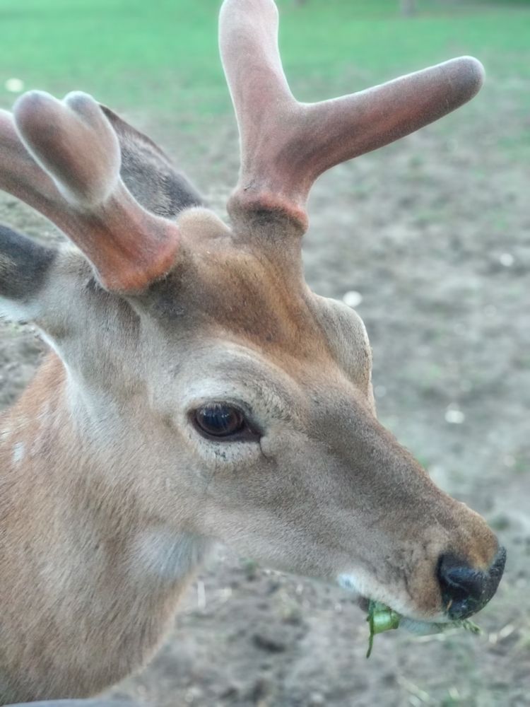 Photograph by Марина Мишина