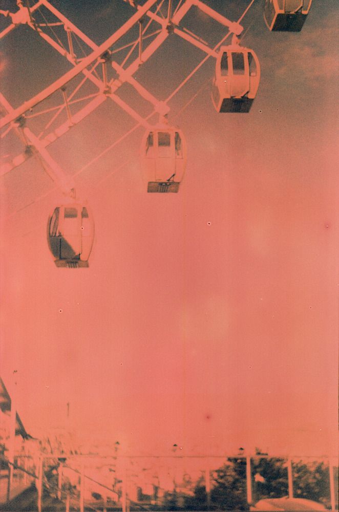 Photograph by Дарья