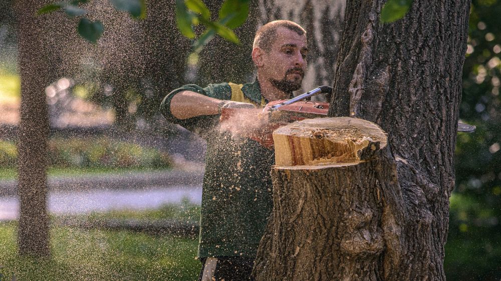 Photograph by Сергей Балашов