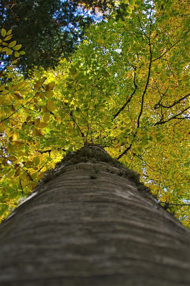 Photograph by Андрей Евтеев