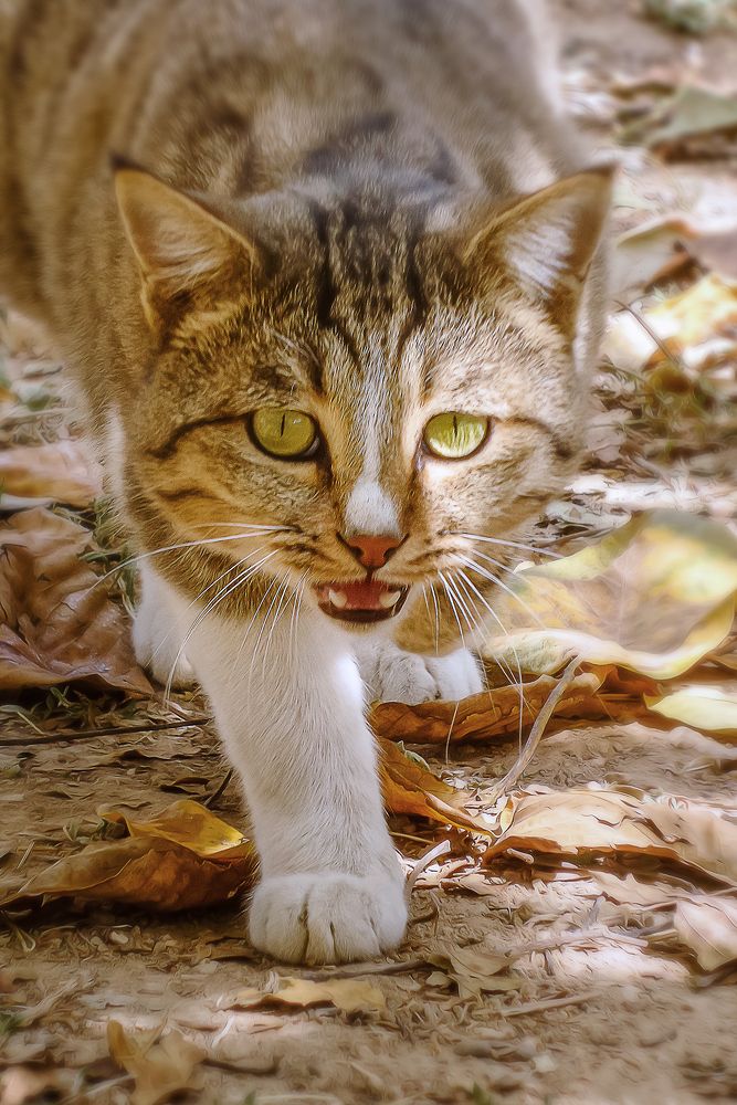 Photograph by sadegh alavi