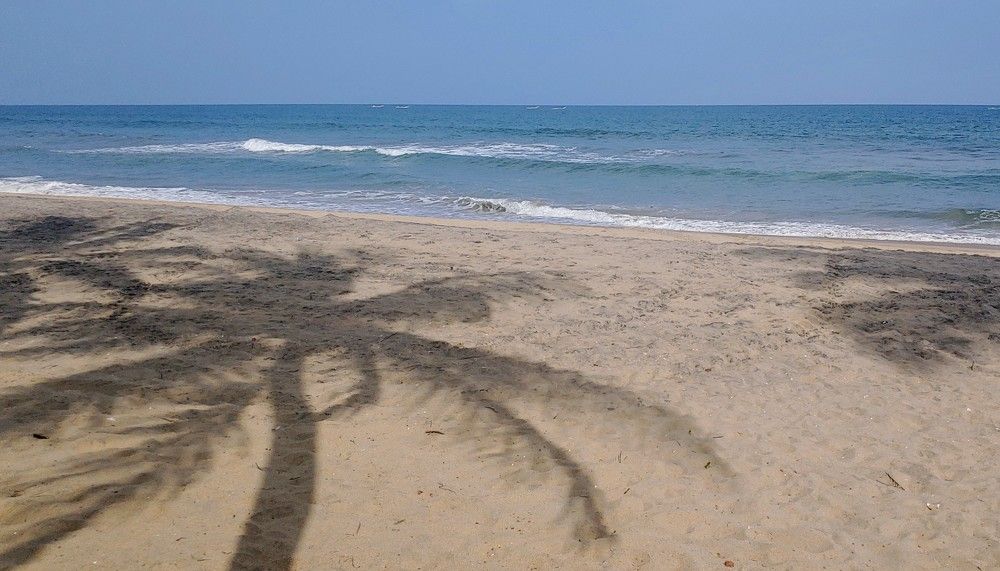 Photograph by Elena Chandran