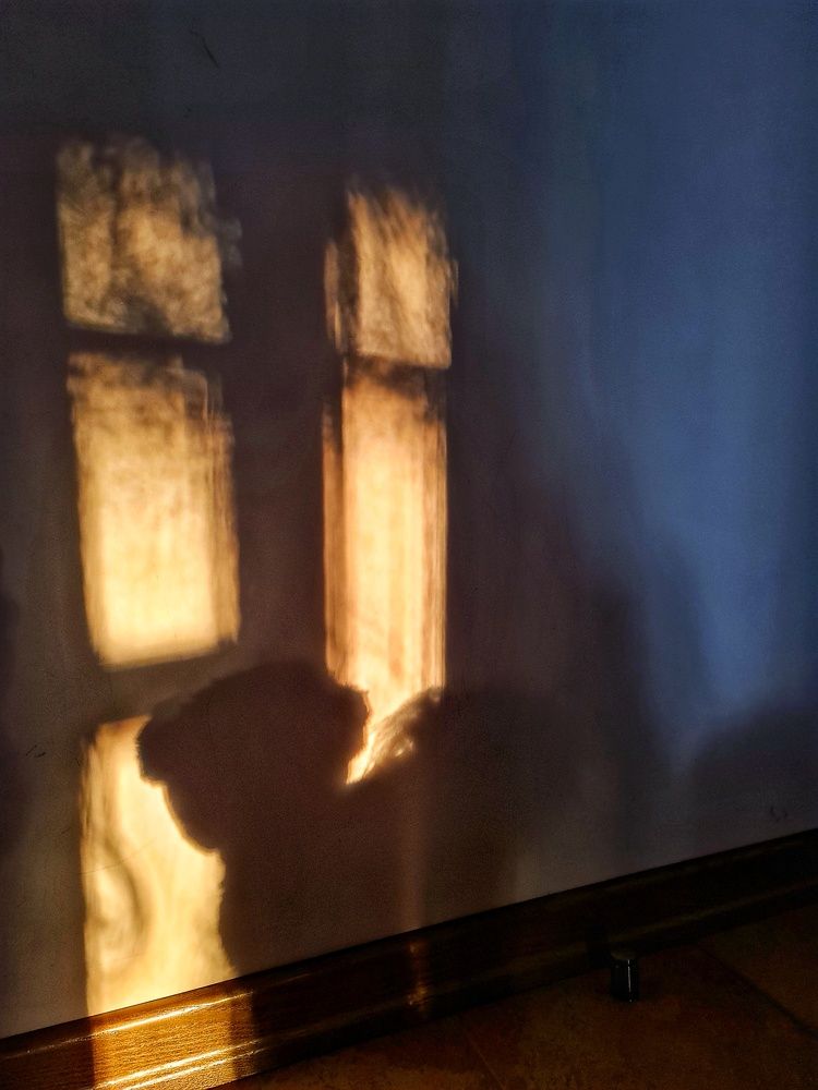 Photograph by Екатерина Золотых