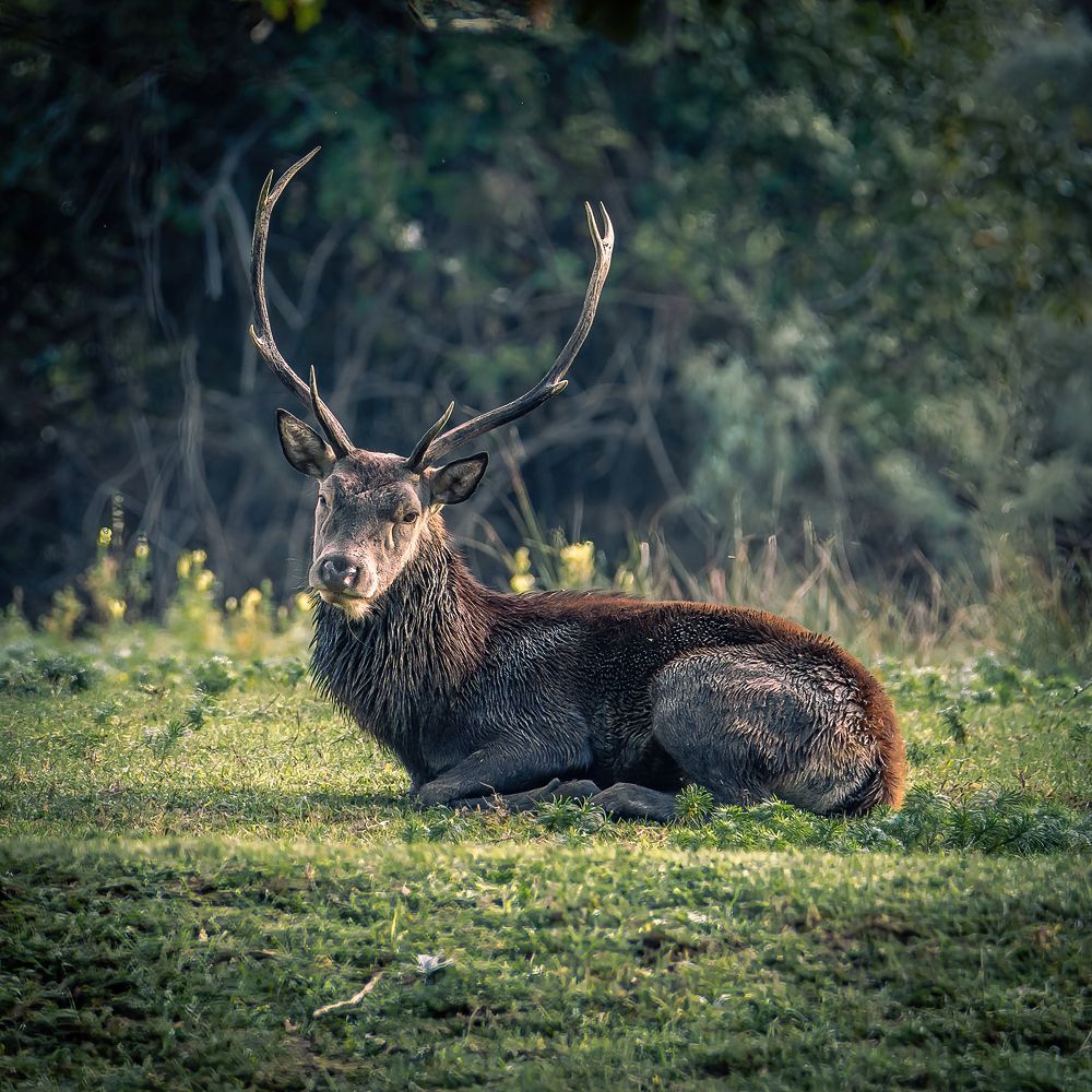 Photograph by Andrea Barlotti