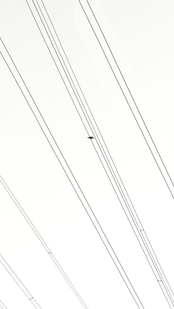 Photograph by 喻 子俊