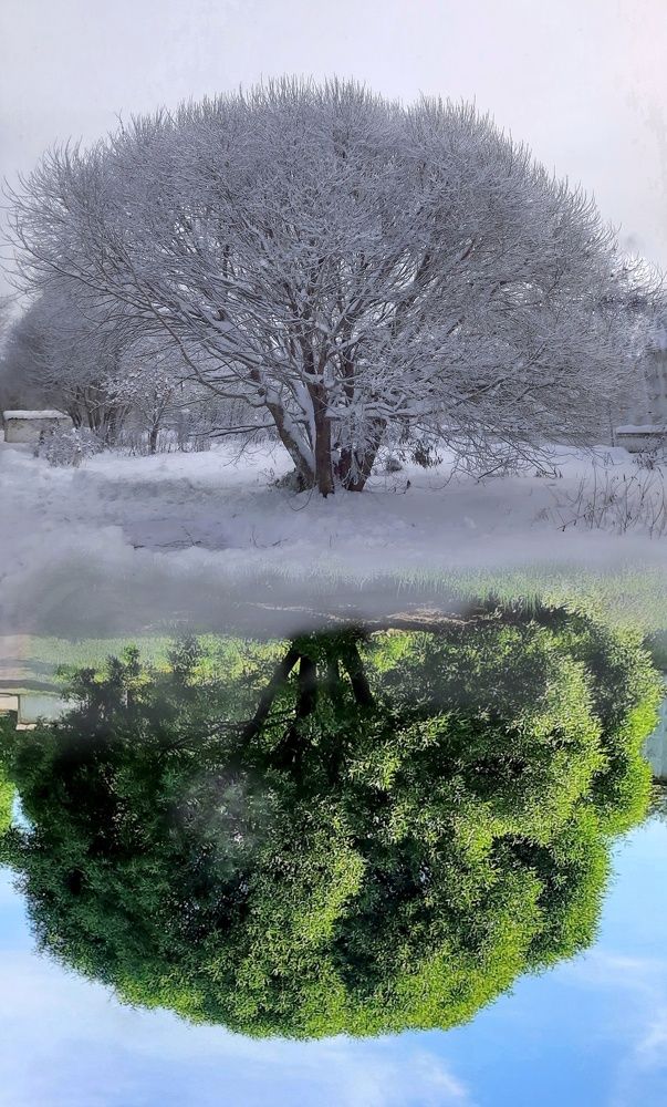 Фотография автора Ольга Кунакова