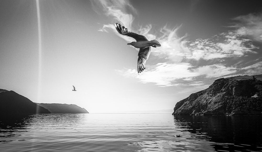 Фотография автора Андрей Жуков