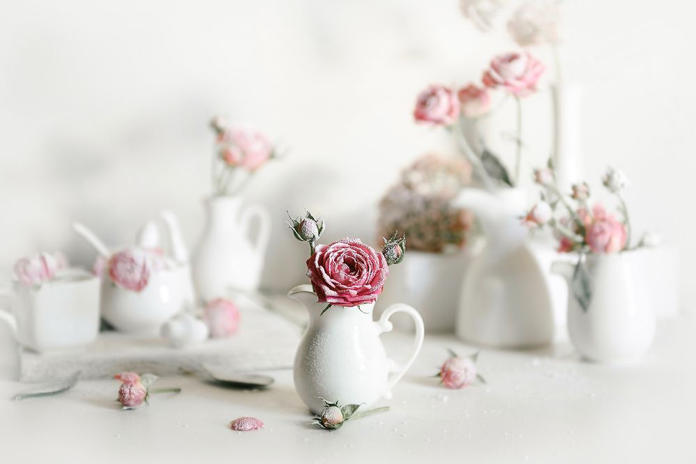 Photograph by MVO (Марк Орлов)