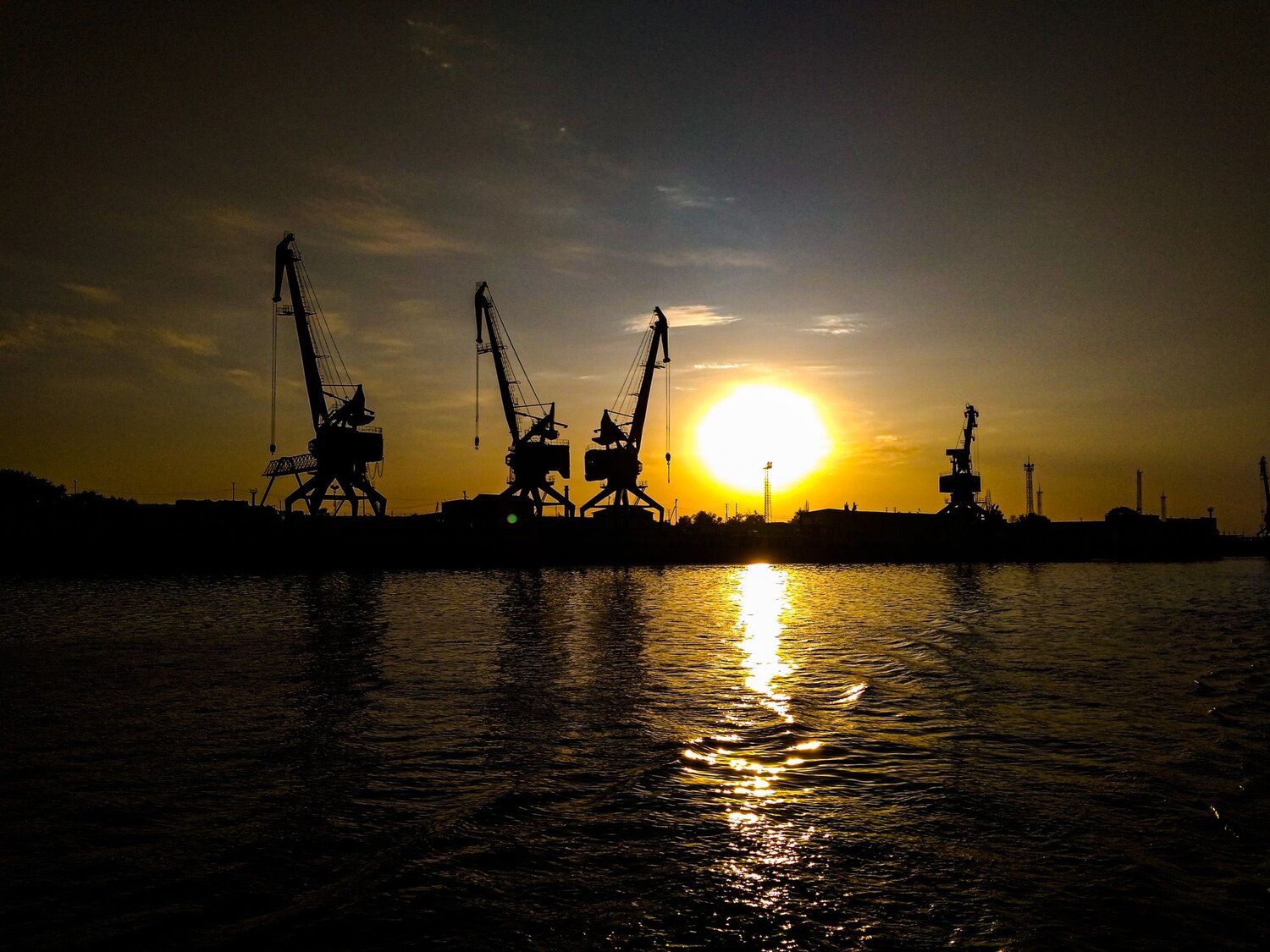 Photo #8429598