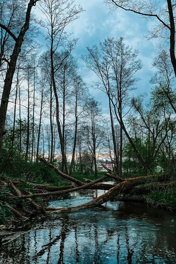 Фотография автора Марина Матьянова