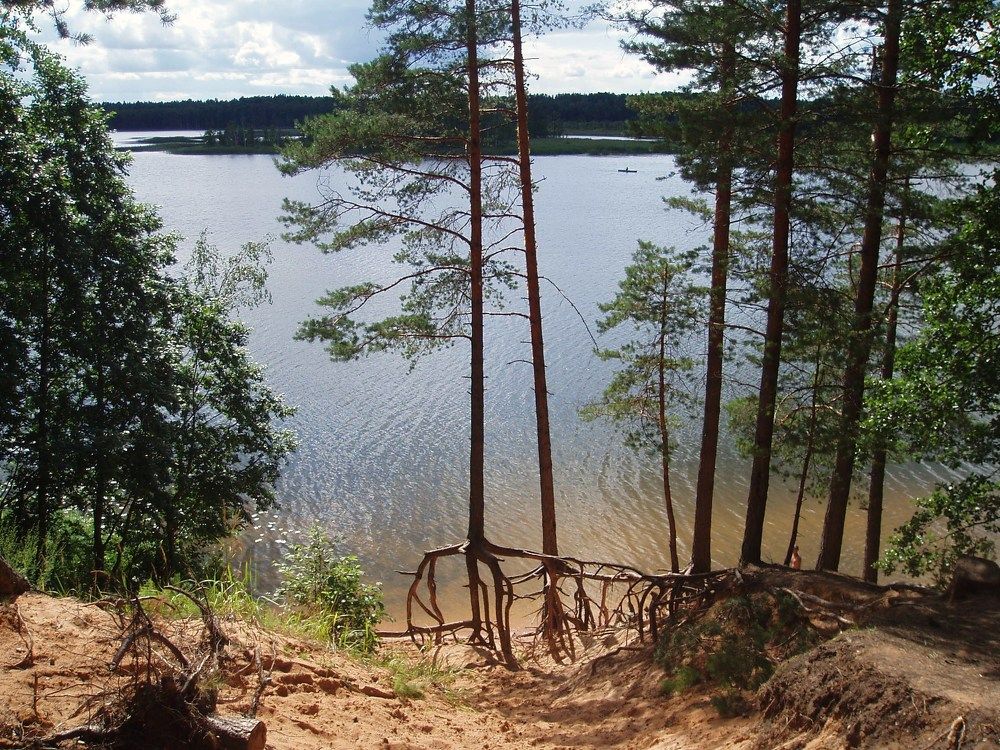 Photograph by Наталия Романова