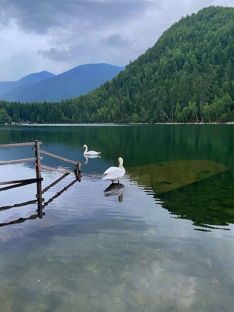 Озеро Снежное