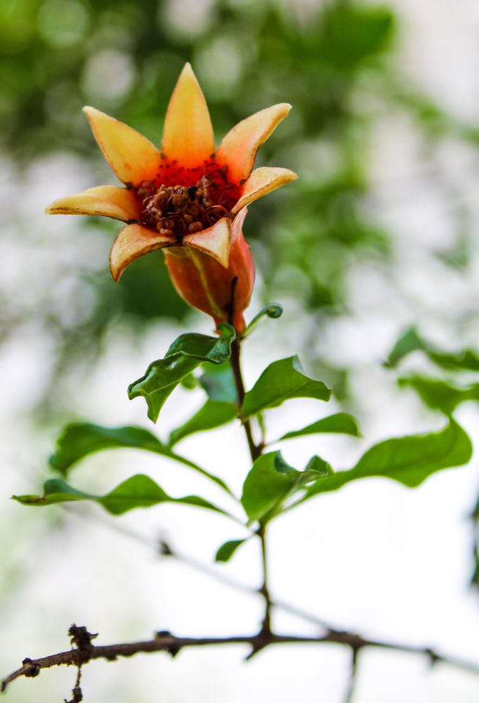 Photograph by Mariana Barboza