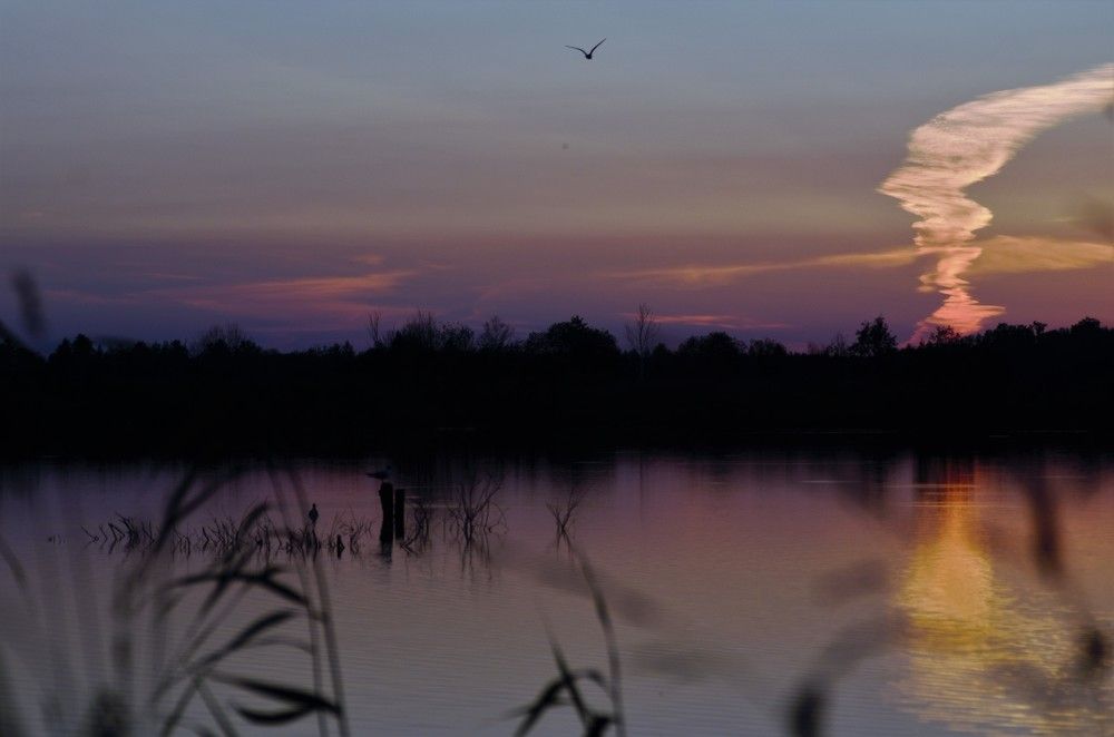 Photograph by Igor Bastrygin