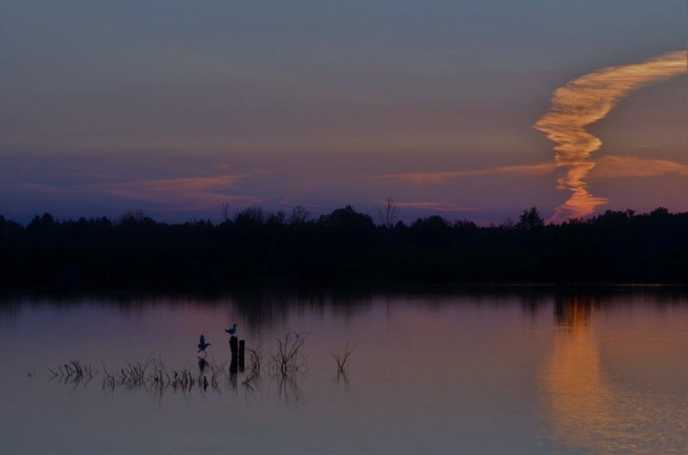 Photograph by Igor Bastrygin