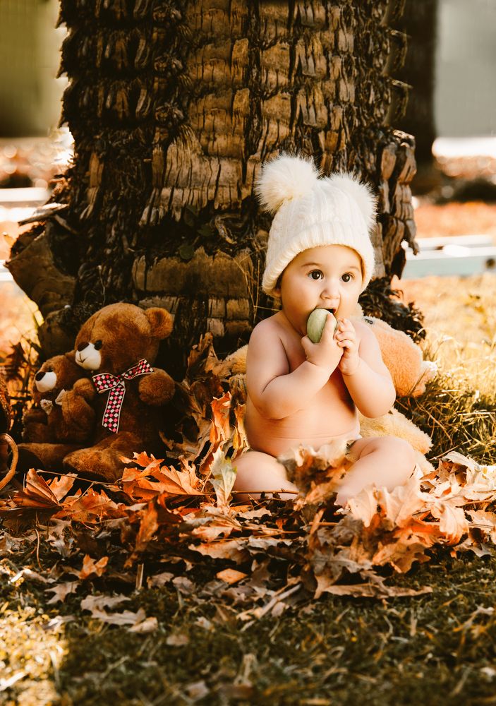 Фотография автора Ibrahim Jalal