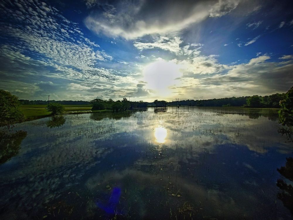 Photograph by Faisal Fasaludeen
