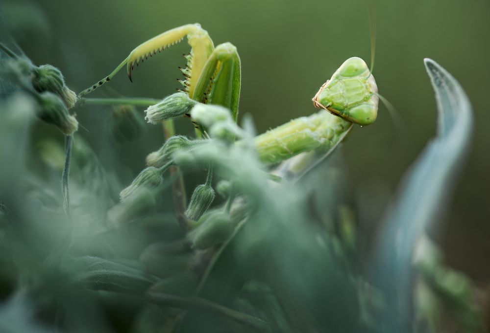 Фотография автора Panagiotis Dalagiorgos