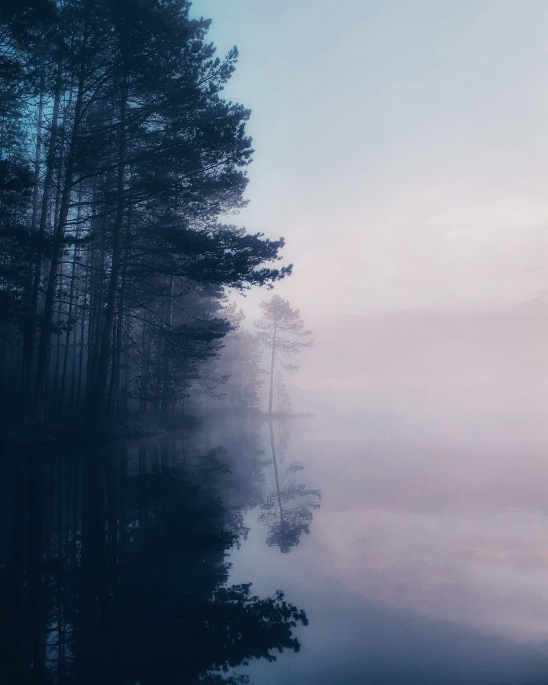 Photograph by Сергей Никифоров