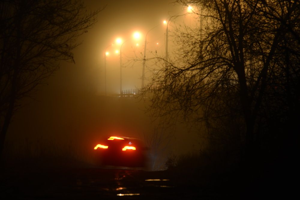 Фотография автора Медведев Сергей
