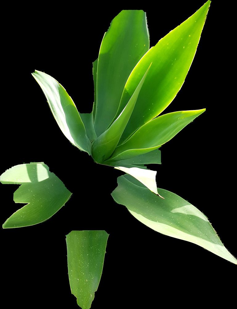 Photograph by Merav Zuberman Perkal