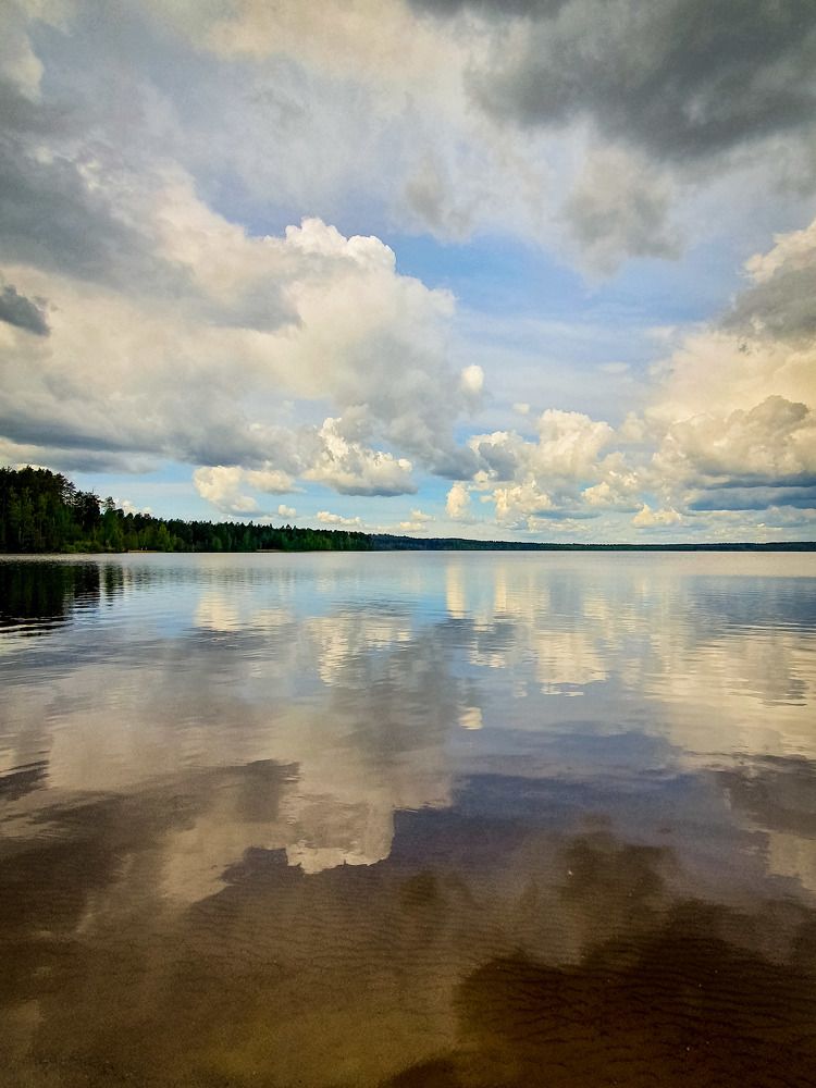 Фотография автора Inna Evseeva