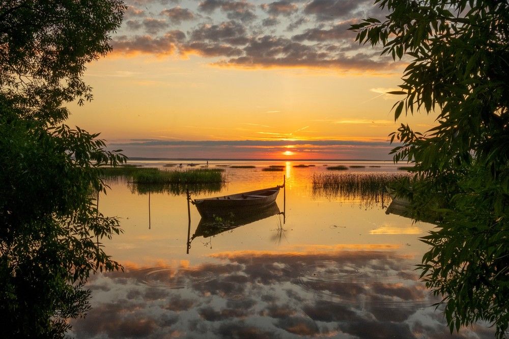 Photograph by Елена Маракулина