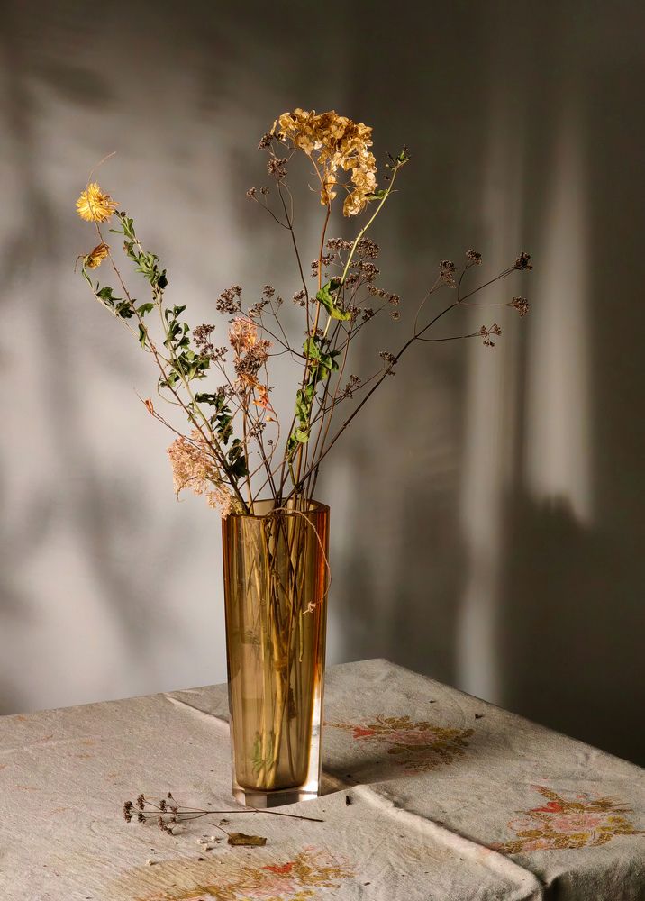 Photograph by Дарья