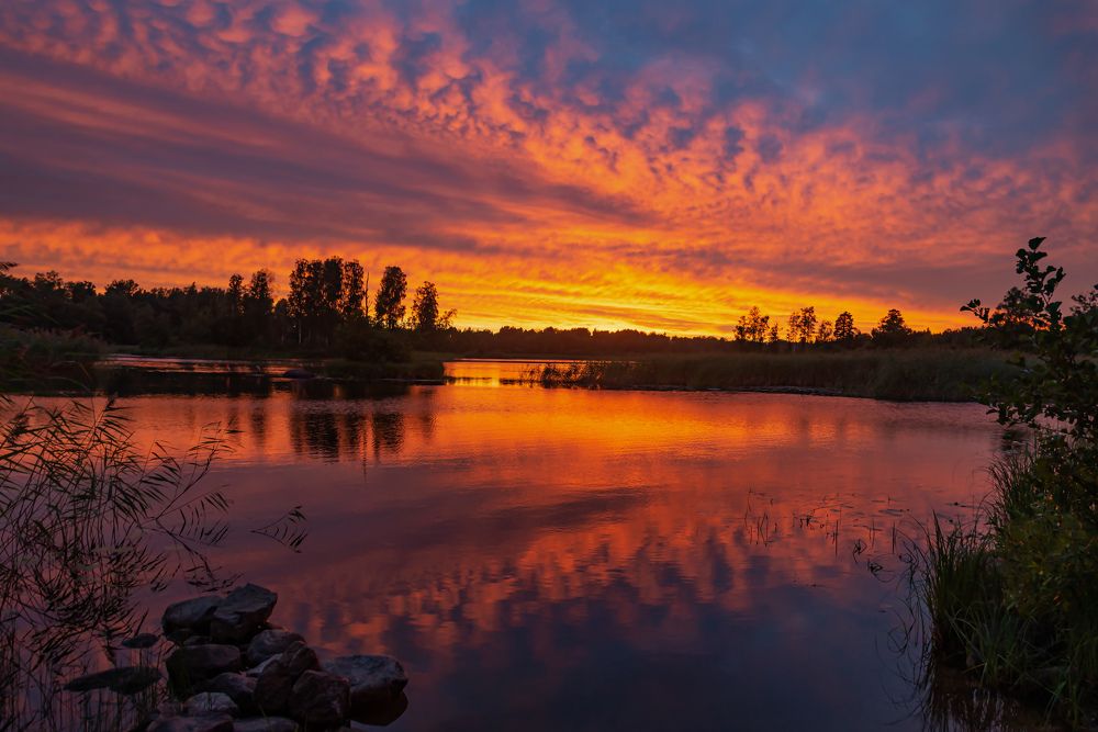 Photograph by Ольга Егунова