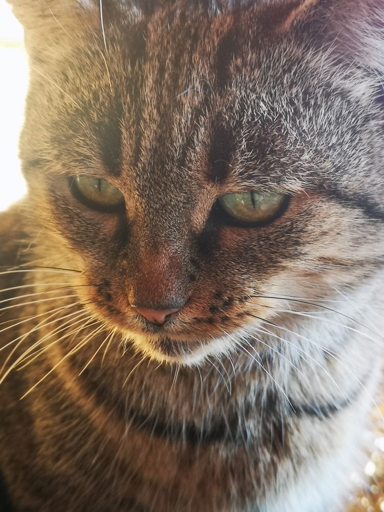 Photograph by Nikolett Mengyi