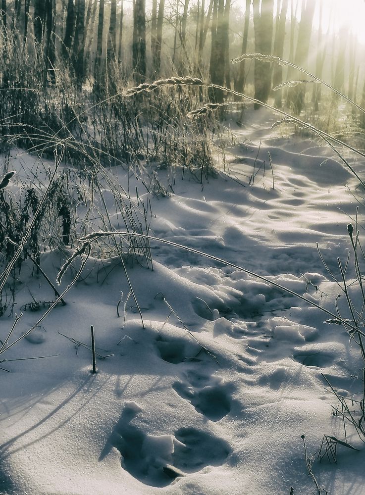 Photograph by Katja Sen